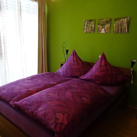 Apartment Schultheiss คอนสตานซ์ ภายนอก รูปภาพ